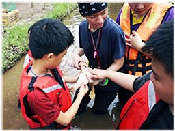 a 级赏析家之最终旅旅