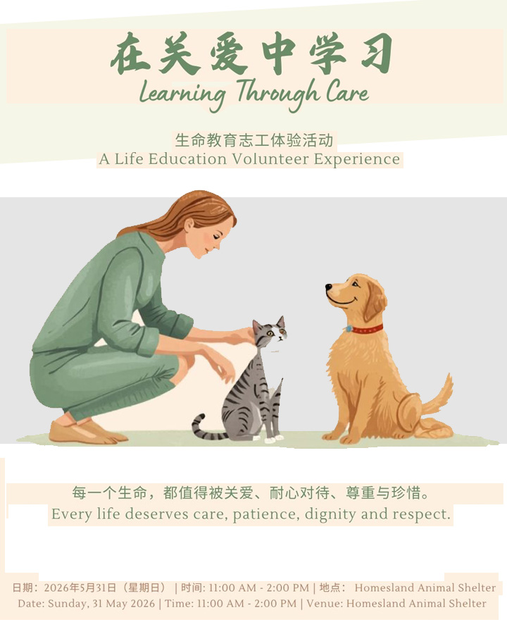 霸凌者的行为与心理